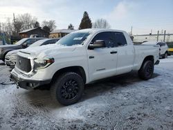 Salvage cars for sale at Denver, CO auction: 2019 Toyota Tundra Double Cab SR