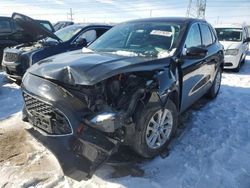 Salvage cars for sale at Elgin, IL auction: 2021 Ford Escape SE