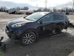 Salvage cars for sale at Columbus, OH auction: 2018 KIA Sportage EX