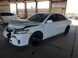 Salvage cars for sale at Phoenix, AZ auction: 2010 Toyota Camry Hybrid