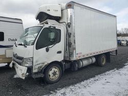 Salvage trucks for sale at Fredericksburg, VA auction: 2019 Hino 195