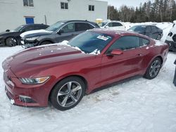 Salvage cars for sale at Cookstown, ON auction: 2017 Ford Mustang