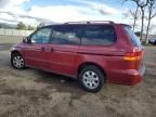 2004 Honda Odyssey EX