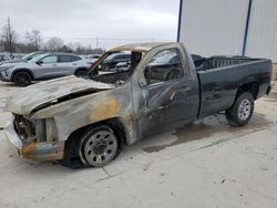 Salvage cars for sale at Lawrenceburg, KY auction: 2009 Chevrolet Silverado C1500