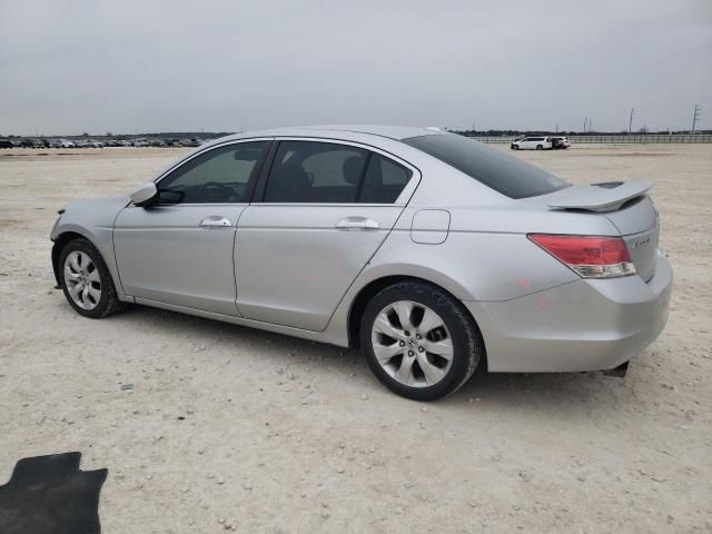 2010 Honda Accord EXL