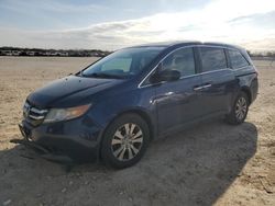 Honda Odyssey exl Vehiculos salvage en venta: 2015 Honda Odyssey EXL