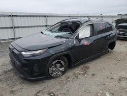 Salvage cars for sale at Fredericksburg, VA auction: 2024 Toyota Rav4 XLE