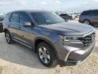 2024 Honda Pilot EXL