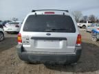 2005 Ford Escape XLT