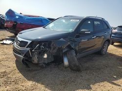 Salvage cars for sale at Theodore, AL auction: 2013 KIA Sorento LX