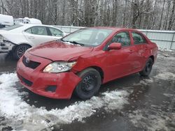 Salvage cars for sale at Glassboro, NJ auction: 2010 Toyota Corolla Base