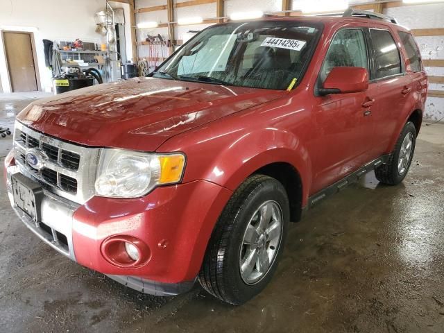 2010 Ford Escape Limited