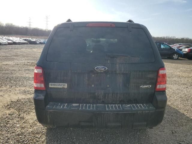 2009 Ford Escape XLT