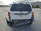 2007 Ford Escape XLT