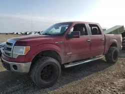 Salvage trucks for sale at Houston, TX auction: 2013 Ford F150 Supercrew