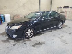 Salvage cars for sale at Hampton, VA auction: 2010 Lexus ES 350