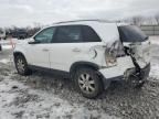 2011 KIA Sorento Base