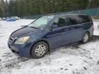 2007 Honda Odyssey EXL