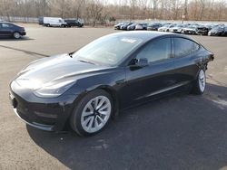 Salvage cars for sale at Glassboro, NJ auction: 2023 Tesla Model 3