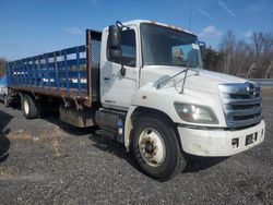 Hino Hino 338 salvage cars for sale: 2016 Hino Hino 338