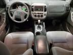 2007 Ford Escape XLT