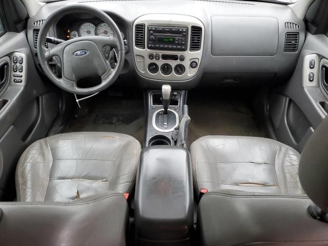 2007 Ford Escape XLT