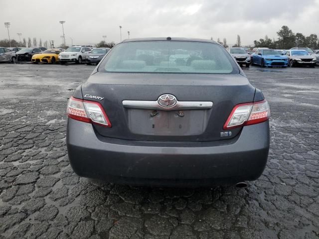 2011 Toyota Camry Hybrid