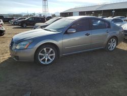 Nissan salvage cars for sale: 2007 Nissan Maxima SE