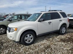 Vehiculos salvage en venta de Copart Cicero, IN: 2009 Ford Escape XLT