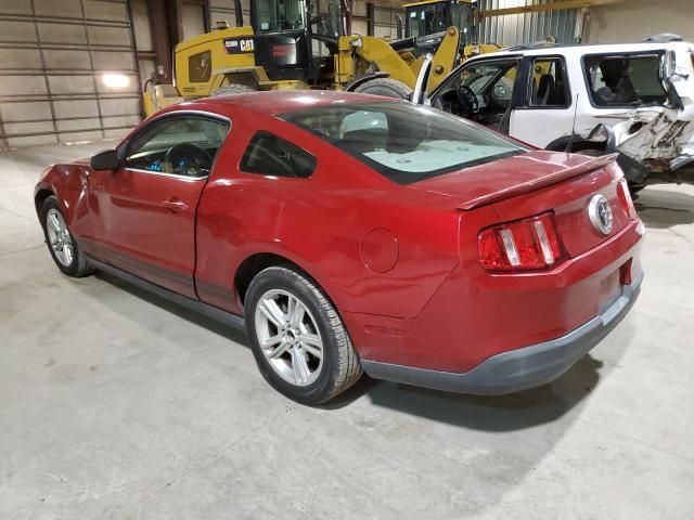 2010 Ford Mustang