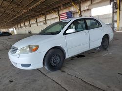 Salvage cars for sale at Phoenix, AZ auction: 2004 Toyota Corolla CE