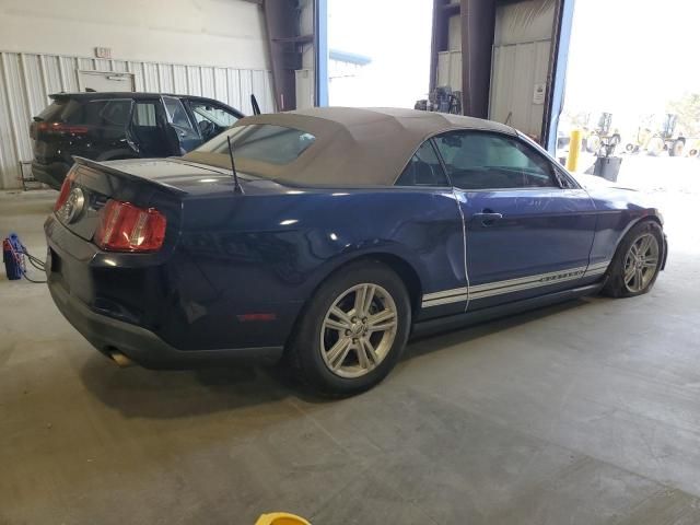 2010 Ford Mustang