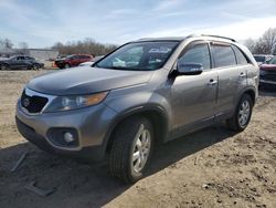 Salvage cars for sale at Hillsborough, NJ auction: 2011 KIA Sorento Base