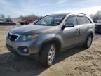 2011 KIA Sorento Base