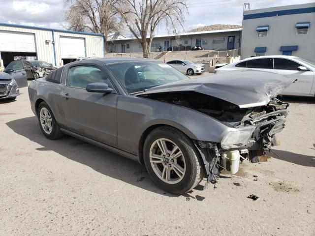 2013 Ford Mustang