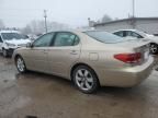 2005 Lexus ES 330