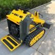 2025 Skidoo 2025 Other                       Skid Steer