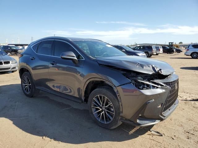 2023 Lexus NX 350