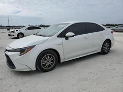 Toyota Corolla salvage cars for sale: 2020 Toyota Corolla LE