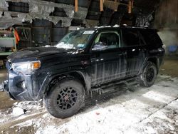 Salvage cars for sale at Albany, NY auction: 2023 Toyota 4runner SE