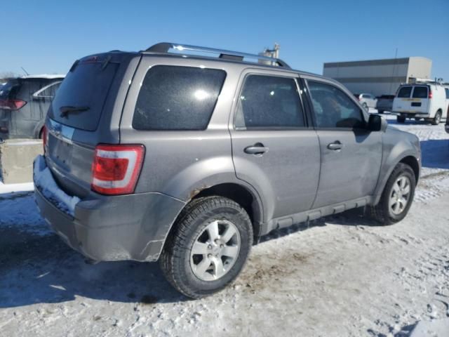 2009 Ford Escape Limited