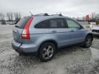 2007 Honda CR-V EXL