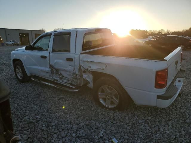 2011 Dodge Dakota SLT