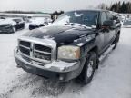 2005 Dodge Dakota Quad SLT