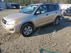 Salvage cars for sale at Seaford, DE auction: 2010 Toyota Rav4