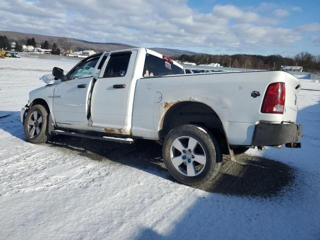 2010 Dodge RAM 1500