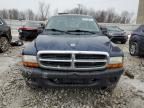 2004 Dodge Dakota SXT