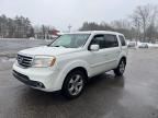 2015 Honda Pilot EXL