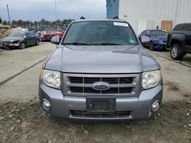 2008 Ford Escape Limited