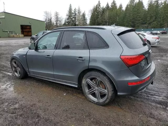 2014 Audi Q5 TDI Premium Plus